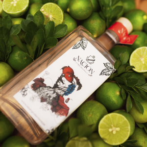 Pisco Nación Premium Box